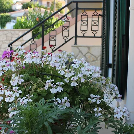Appartement Drebos *
